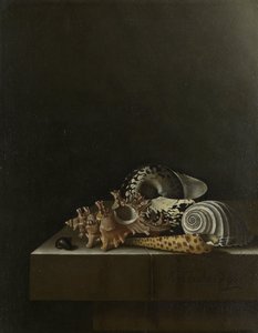 石台座の上のシェル 作： Adrian Coorte